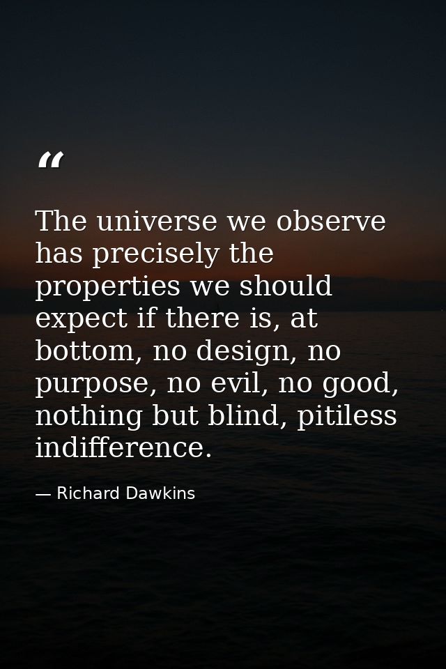The universe we observe has precisely the properties we should expect if there is, at bottom, no design, no purpose, no  — Richard Dawkins