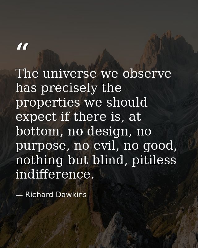 The universe we observe has precisely the properties we should expect if there is, at bottom, no design, no purpose, no  — Richard Dawkins