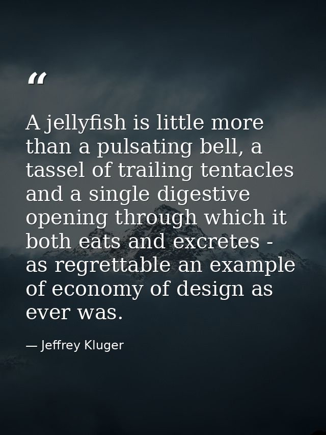 A jellyfish is little more than a pulsating bell, a tassel of trailing tentacles and a single digestive opening through  — Jeffrey Kluger