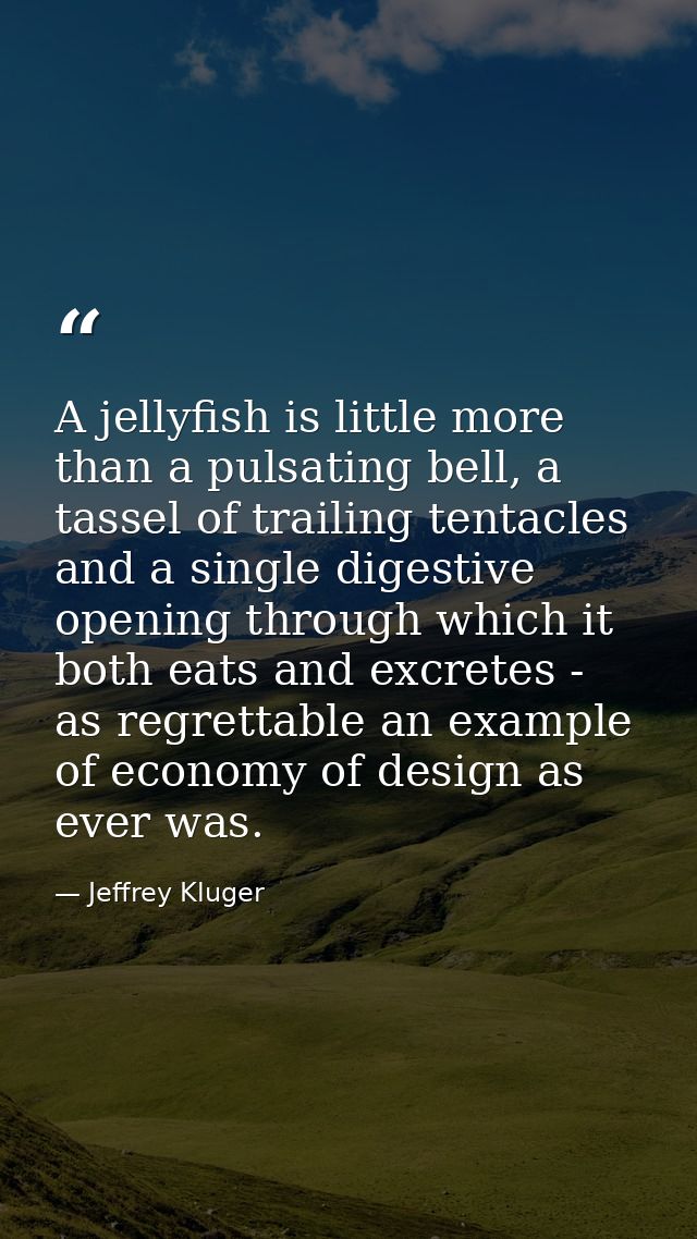 A jellyfish is little more than a pulsating bell, a tassel of trailing tentacles and a single digestive opening through  — Jeffrey Kluger