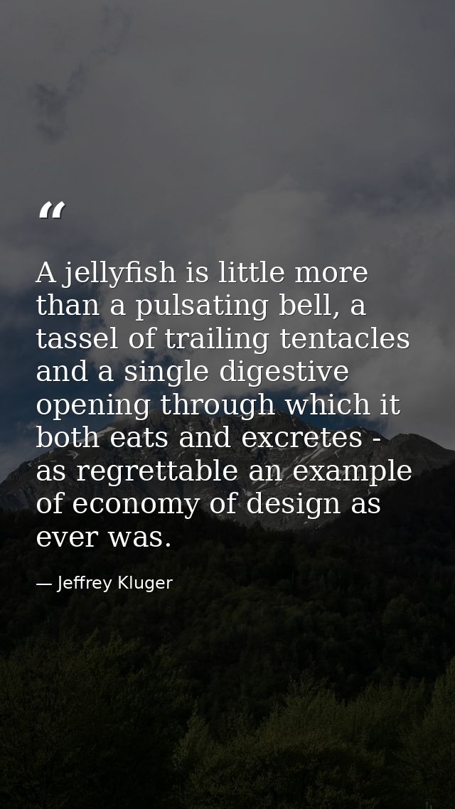 A jellyfish is little more than a pulsating bell, a tassel of trailing tentacles and a single digestive opening through  — Jeffrey Kluger