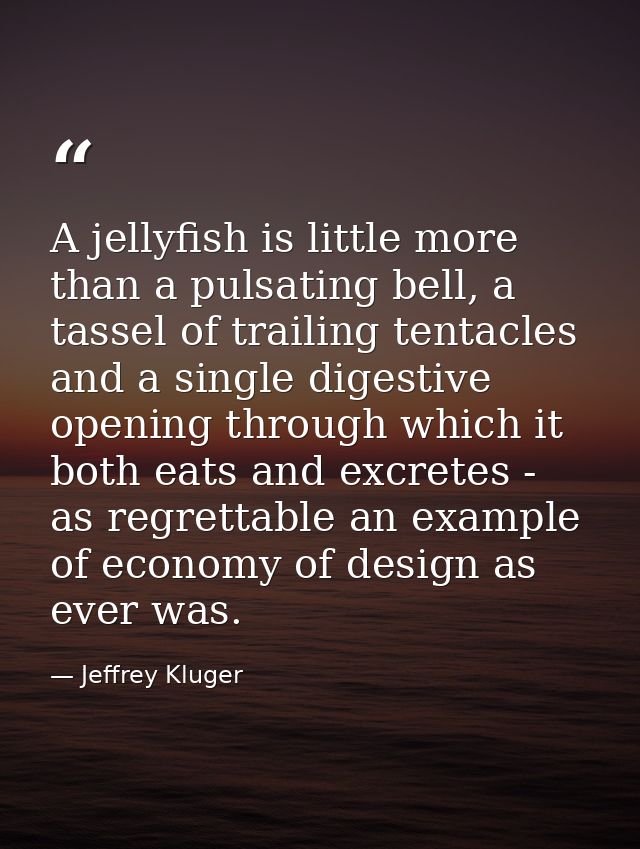 A jellyfish is little more than a pulsating bell, a tassel of trailing tentacles and a single digestive opening through  — Jeffrey Kluger