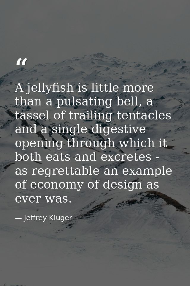 A jellyfish is little more than a pulsating bell, a tassel of trailing tentacles and a single digestive opening through  — Jeffrey Kluger