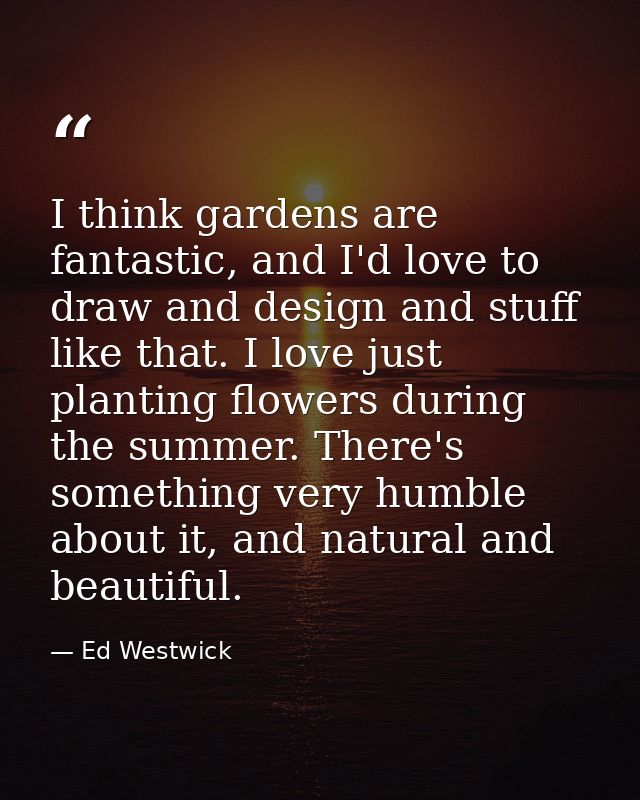 I think gardens are fantastic, and I'd love to draw and design and stuff like that. I love just planting flowers during  — Ed Westwick