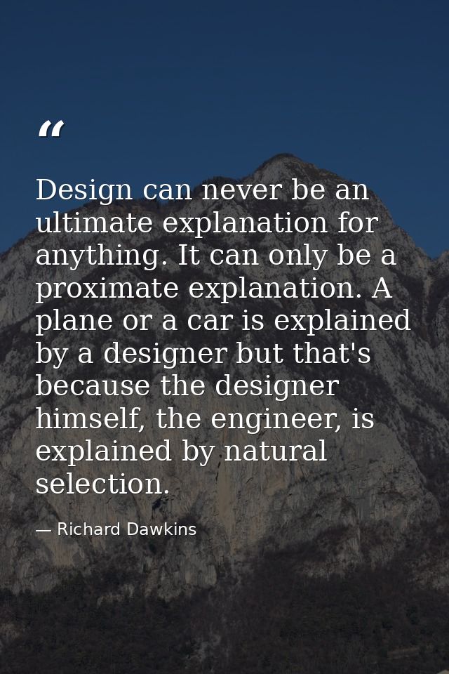 Design can never be an ultimate explanation for anything. It can only be a proximate explanation. A plane or a car is ex — Richard Dawkins