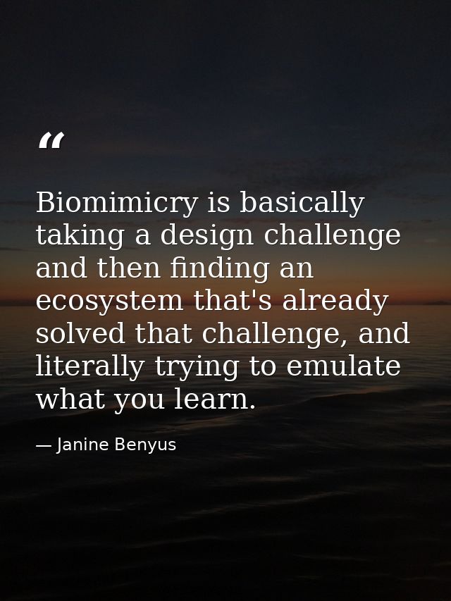 Biomimicry is basically taking a design challenge and then finding an ecosystem that's already solved that challenge, an — Janine Benyus