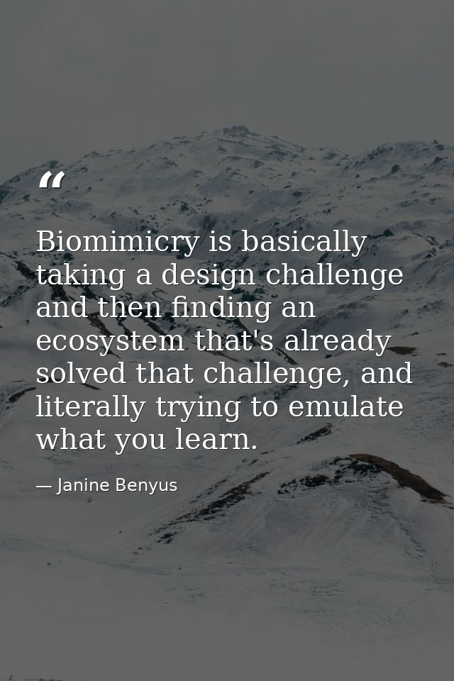 Biomimicry is basically taking a design challenge and then finding an ecosystem that's already solved that challenge, an — Janine Benyus