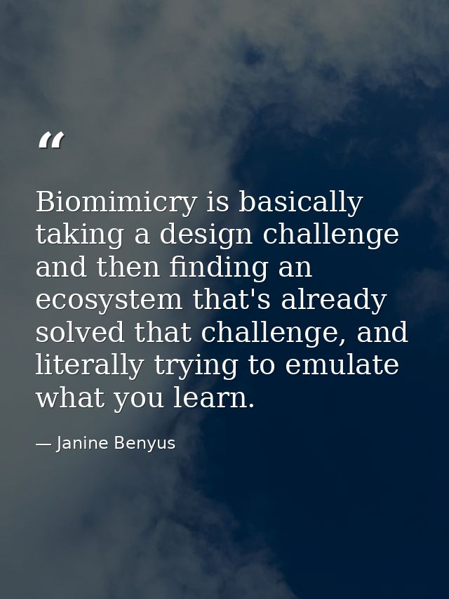 Biomimicry is basically taking a design challenge and then finding an ecosystem that's already solved that challenge, an — Janine Benyus