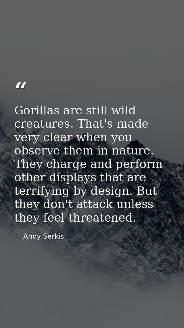 Gorillas are still wild creatures. That's made very clear when you observe them in nature. They charge and perform other — Andy Serkis