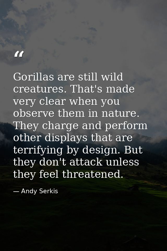 Gorillas are still wild creatures. That's made very clear when you observe them in nature. They charge and perform other — Andy Serkis