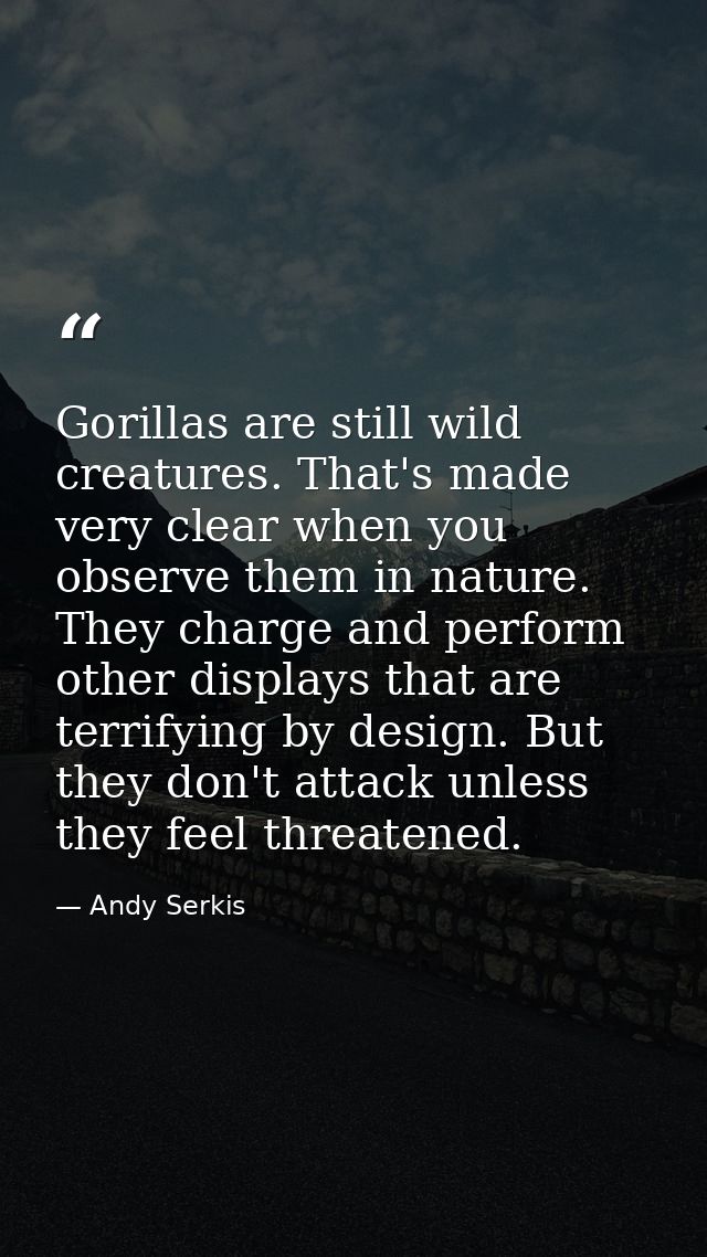 Gorillas are still wild creatures. That's made very clear when you observe them in nature. They charge and perform other — Andy Serkis