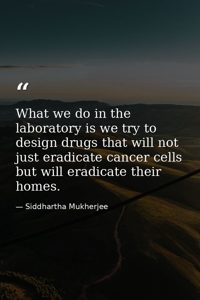 What we do in the laboratory is we try to design drugs that will not just eradicate cancer cells but will eradicate thei — Siddhartha Mukherjee