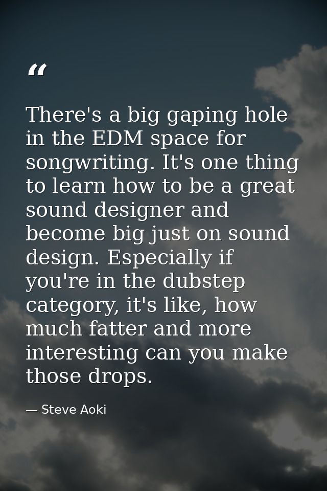 There's a big gaping hole in the EDM space for songwriting. It's one thing to learn how to be a great sound designer and — Steve Aoki