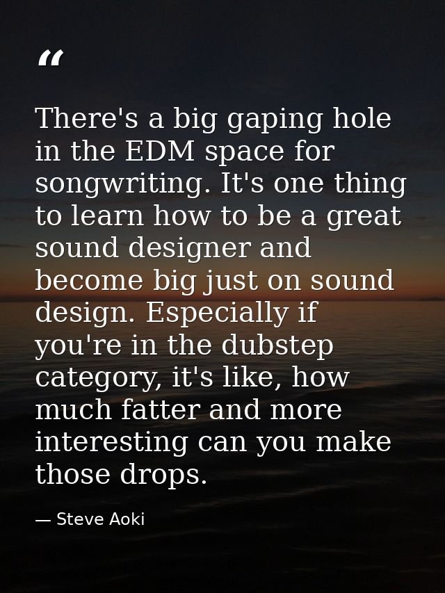 There's a big gaping hole in the EDM space for songwriting. It's one thing to learn how to be a great sound designer and — Steve Aoki