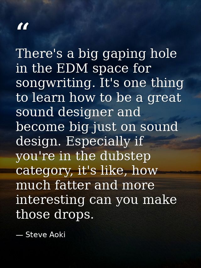 There's a big gaping hole in the EDM space for songwriting. It's one thing to learn how to be a great sound designer and — Steve Aoki