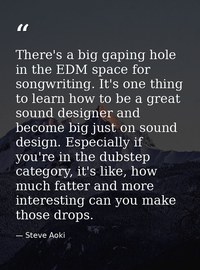 There's a big gaping hole in the EDM space for songwriting. It's one thing to learn how to be a great sound designer and — Steve Aoki