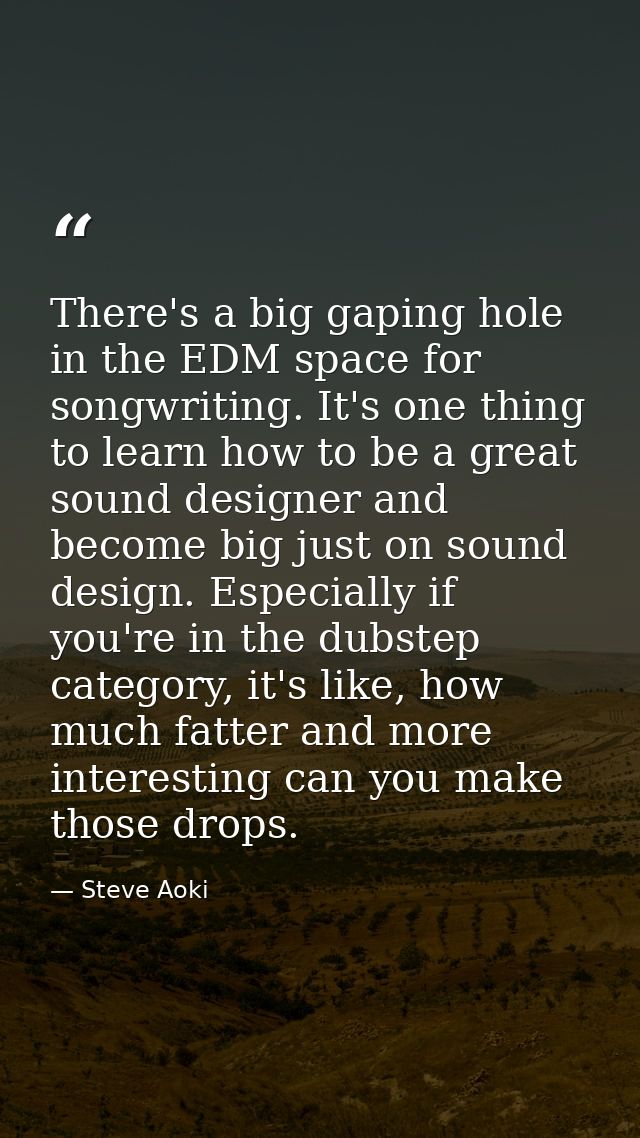 There's a big gaping hole in the EDM space for songwriting. It's one thing to learn how to be a great sound designer and — Steve Aoki