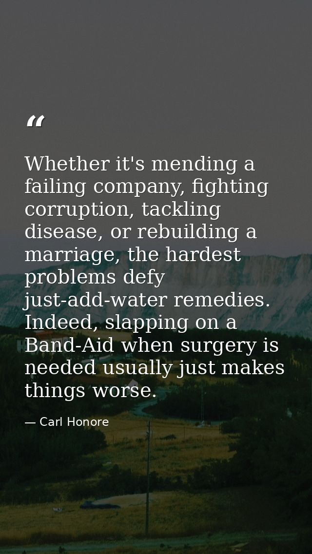 Whether it's mending a failing company, fighting corruption, tackling disease, or rebuilding a marriage, the hardest pro — Carl Honore