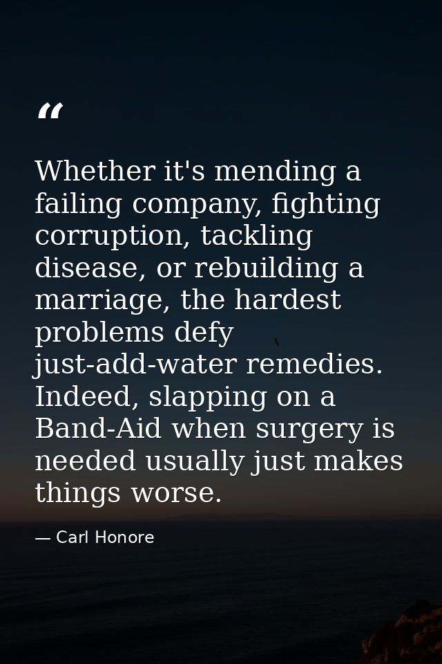 Whether it's mending a failing company, fighting corruption, tackling disease, or rebuilding a marriage, the hardest pro — Carl Honore