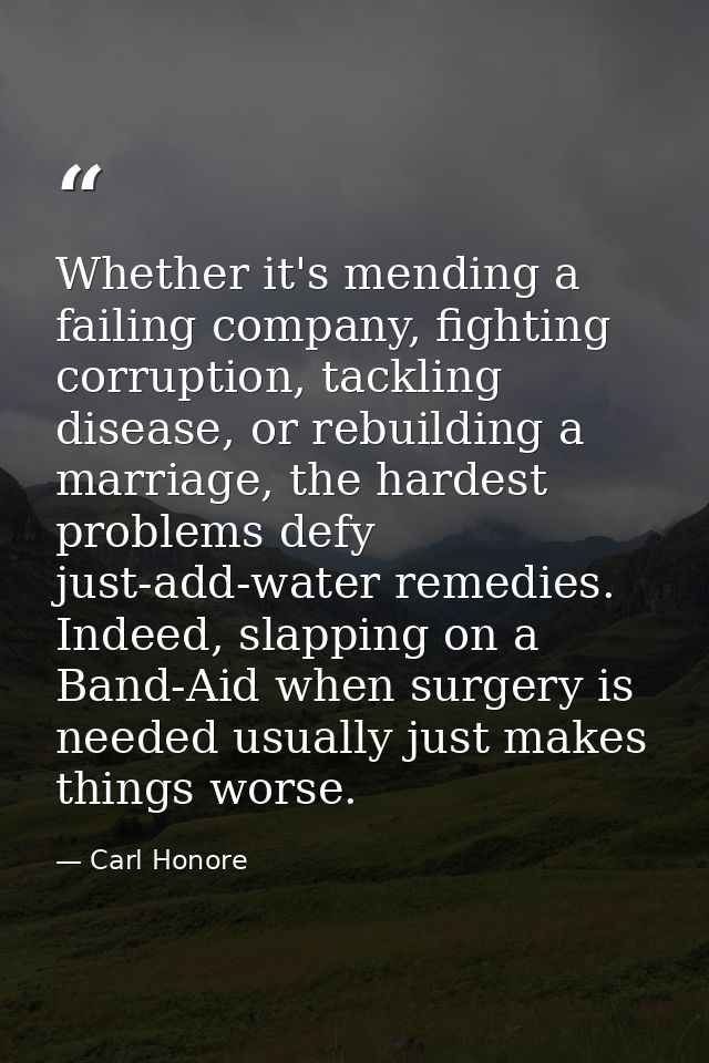 Whether it's mending a failing company, fighting corruption, tackling disease, or rebuilding a marriage, the hardest pro — Carl Honore