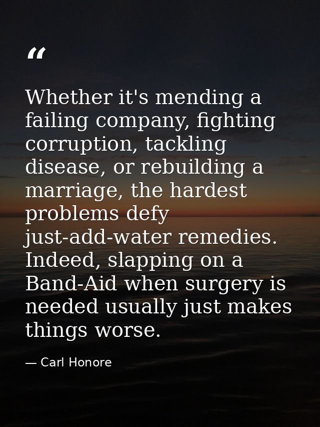 Whether it's mending a failing company, fighting corruption, tackling disease, or rebuilding a marriage, the hardest pro — Carl Honore