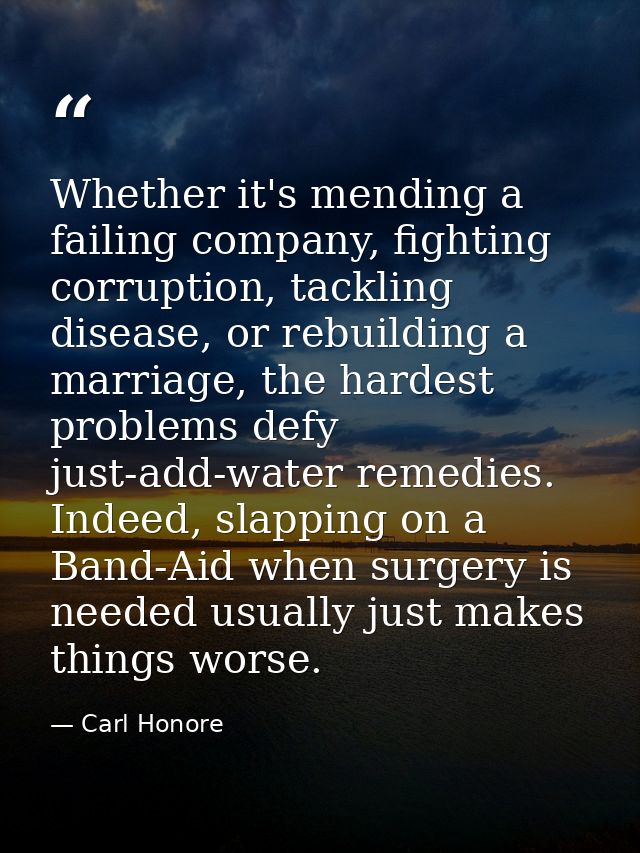 Whether it's mending a failing company, fighting corruption, tackling disease, or rebuilding a marriage, the hardest pro — Carl Honore