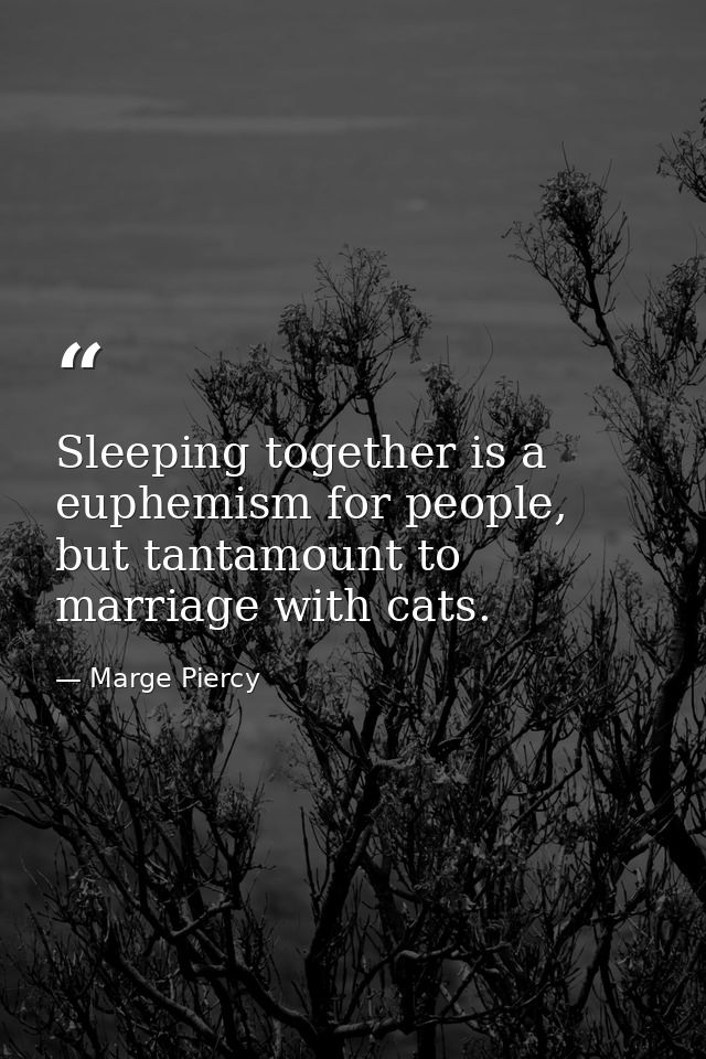 Sleeping together is a euphemism for people, but tantamount to marriage with cats. — Marge Piercy