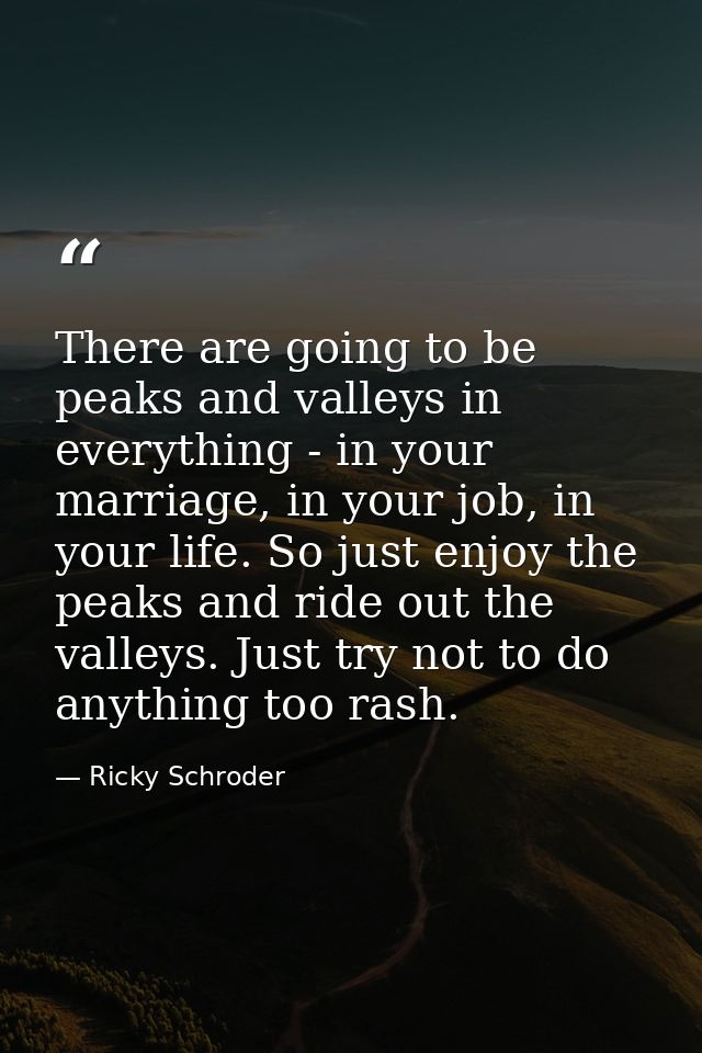 There are going to be peaks and valleys in everything - in your marriage, in your job, in your life. So just enjoy the p — Ricky Schroder