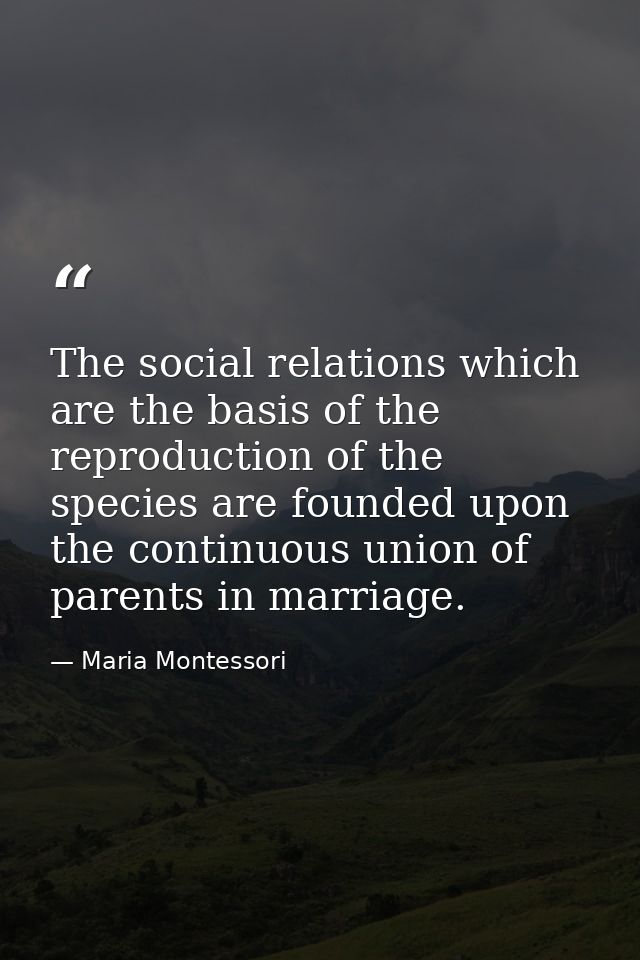 The social relations which are the basis of the reproduction of the species are founded upon the continuous union of par — Maria Montessori