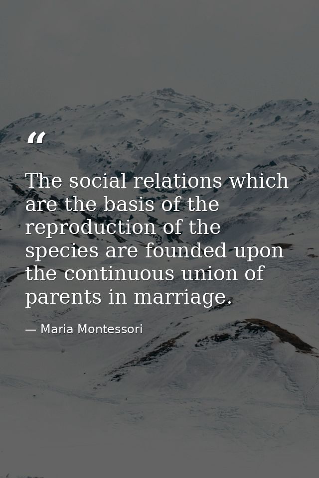 The social relations which are the basis of the reproduction of the species are founded upon the continuous union of par — Maria Montessori