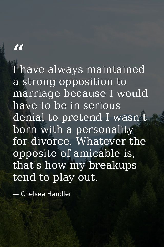 I have always maintained a strong opposition to marriage because I would have to be in serious denial to pretend I wasn' — Chelsea Handler