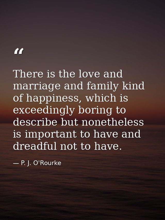 There is the love and marriage and family kind of happiness, which is exceedingly boring to describe but nonetheless is  — P. J. O'Rourke