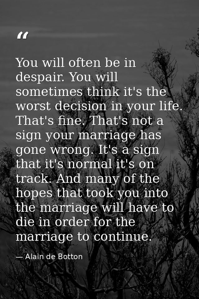 You will often be in despair. You will sometimes think it's the worst decision in your life. That's fine. That's not a s — Alain de Botton