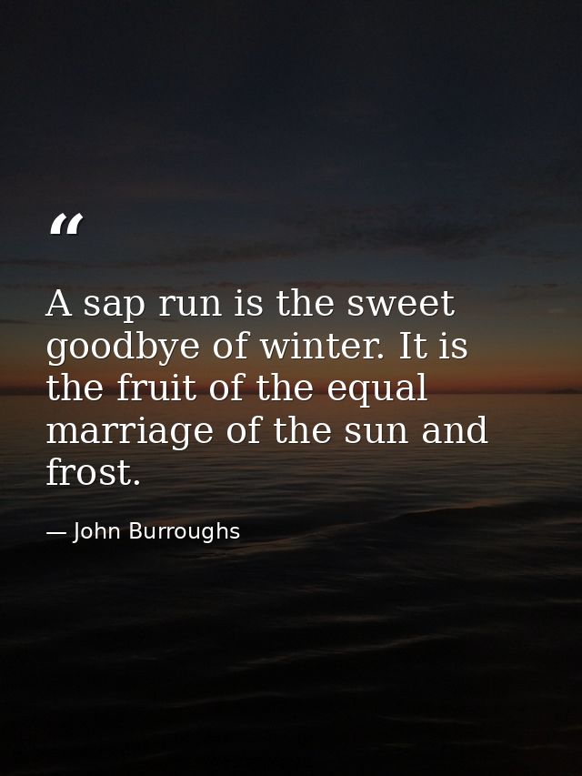 A sap run is the sweet goodbye of winter. It is the fruit of the equal marriage of the sun and frost. — John Burroughs
