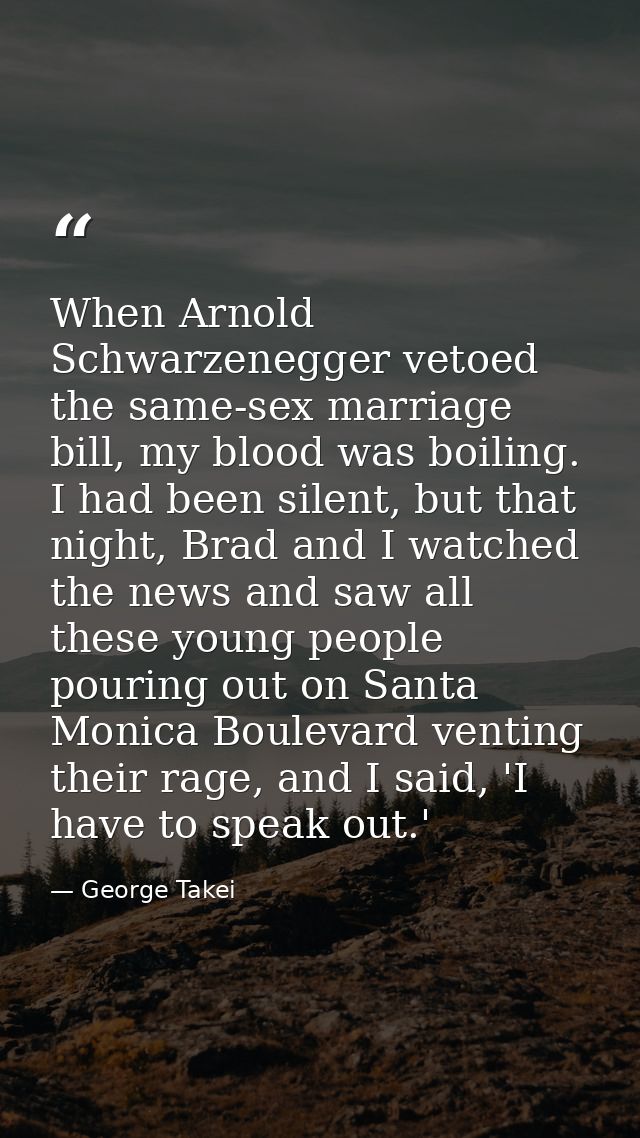 When Arnold Schwarzenegger vetoed the same-sex marriage bill, my blood was boiling. I had been silent, but that night, B — George Takei