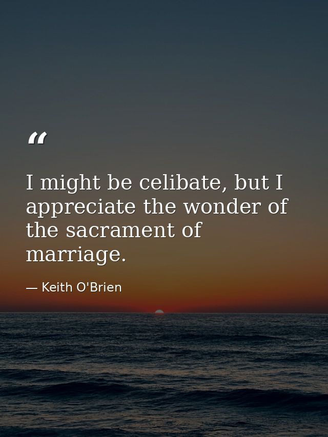 I might be celibate, but I appreciate the wonder of the sacrament of marriage. — Keith O'Brien