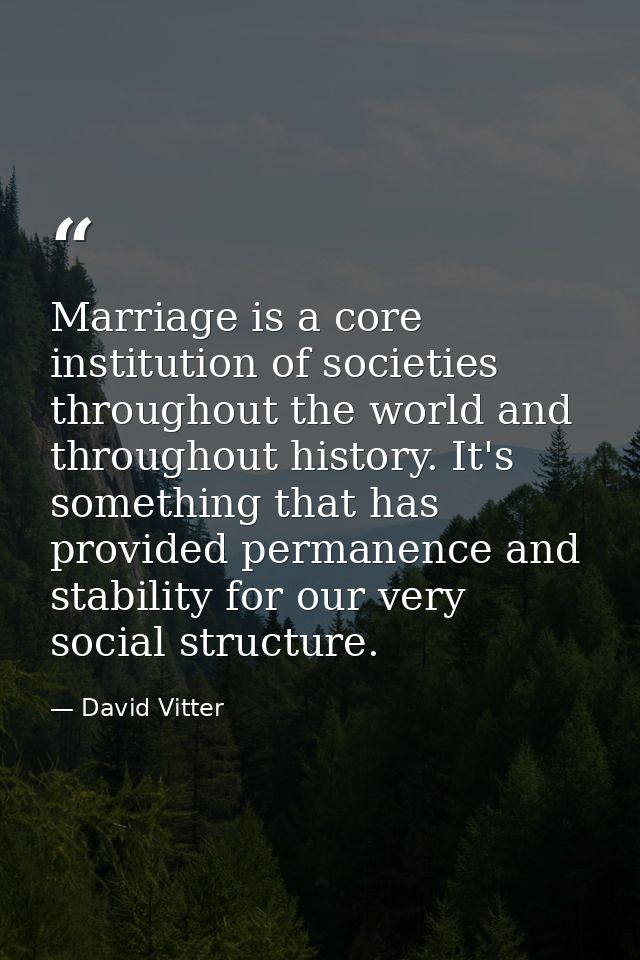 Marriage is a core institution of societies throughout the world and throughout history. It's something that has provide — David Vitter