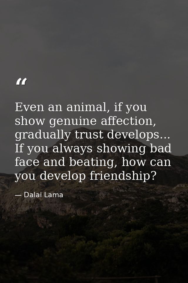 Even an animal, if you show genuine affection, gradually trust develops... If you always showing bad face and beating, h — Dalai Lama