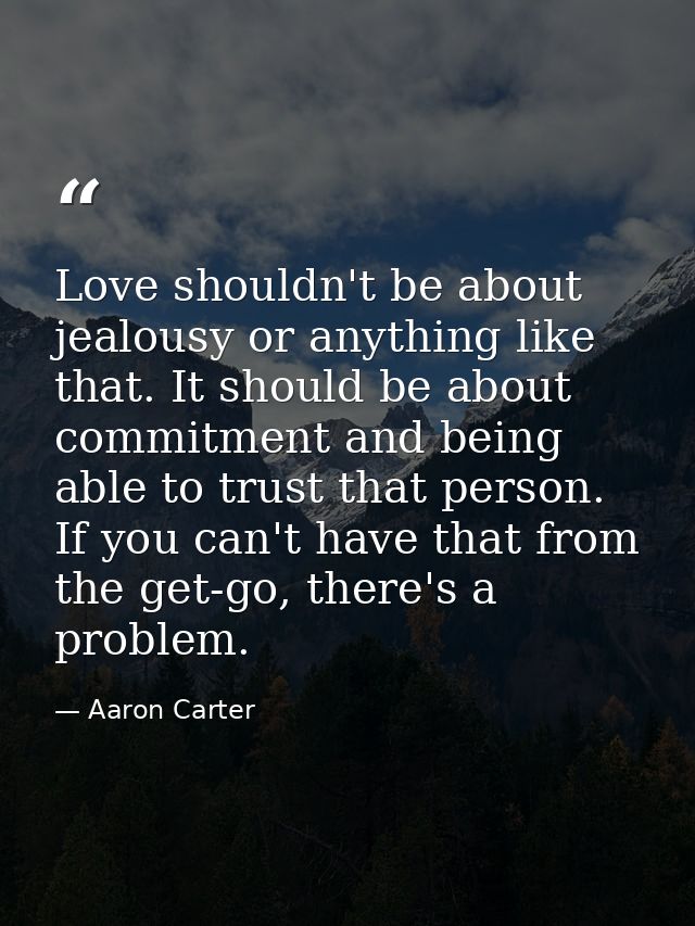 Love shouldn't be about jealousy or anything like that. It should be about commitment and being able to trust that perso — Aaron Carter