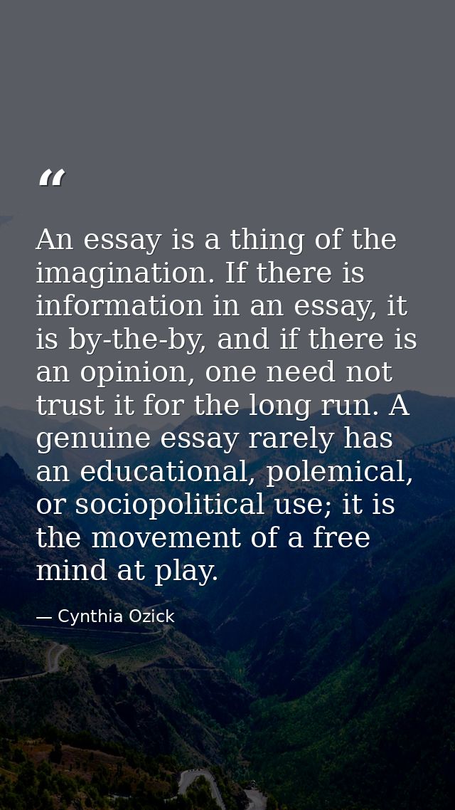An essay is a thing of the imagination. If there is information in an essay, it is by-the-by, and if there is an opinion — Cynthia Ozick