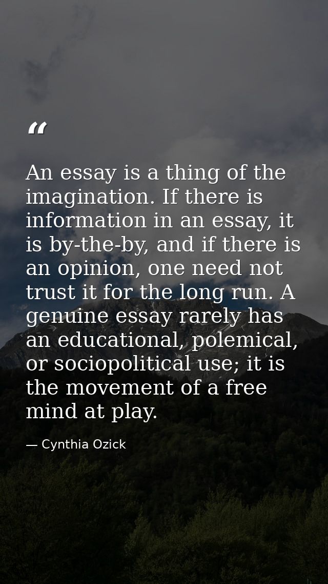 An essay is a thing of the imagination. If there is information in an essay, it is by-the-by, and if there is an opinion — Cynthia Ozick