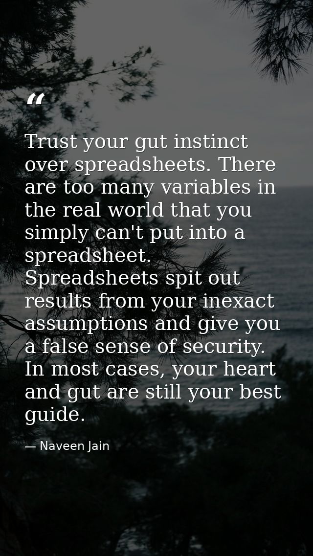 Trust your gut instinct over spreadsheets. There are too many variables in the real world that you simply can't put into — Naveen Jain