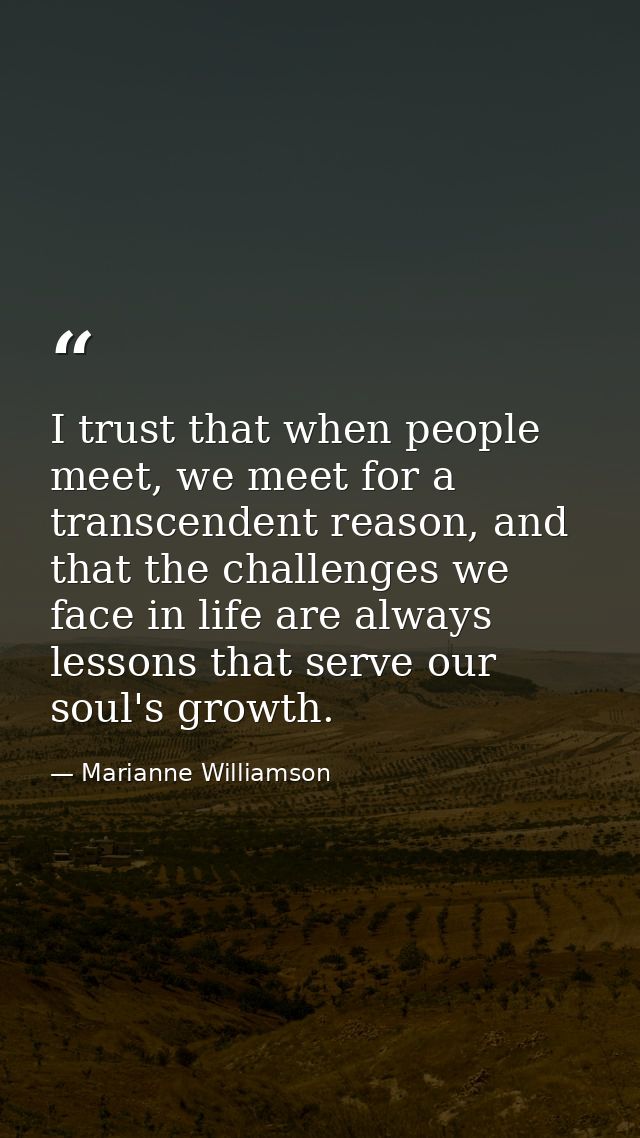 I trust that when people meet, we meet for a transcendent reason, and that the challenges we face in life are always les — Marianne Williamson