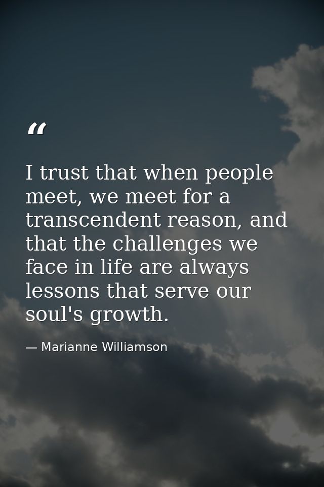 I trust that when people meet, we meet for a transcendent reason, and that the challenges we face in life are always les — Marianne Williamson