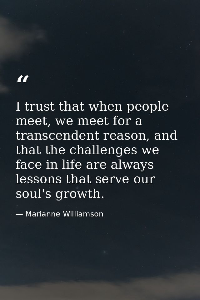 I trust that when people meet, we meet for a transcendent reason, and that the challenges we face in life are always les — Marianne Williamson