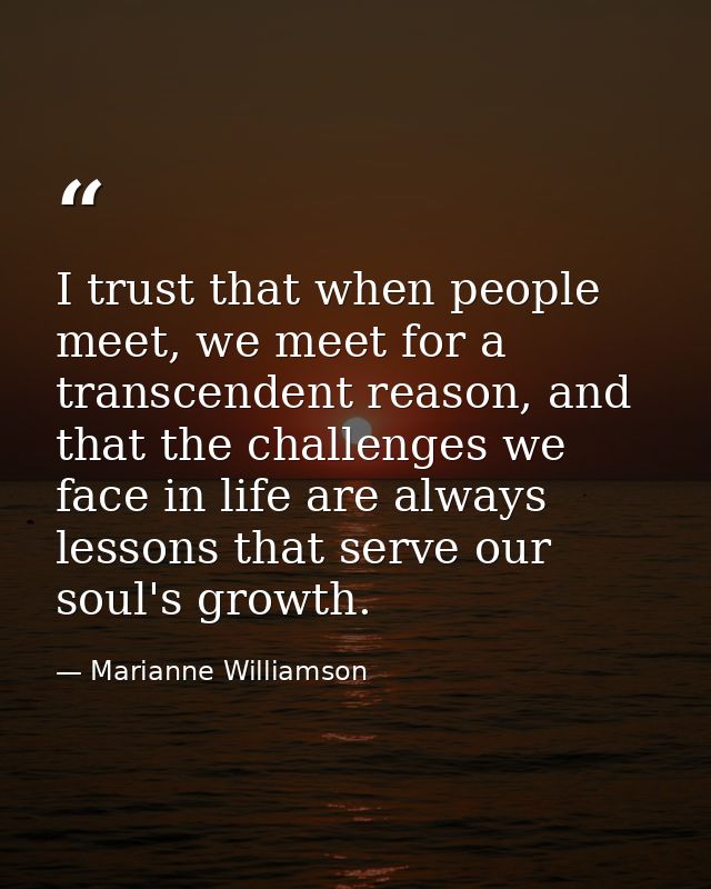 I trust that when people meet, we meet for a transcendent reason, and that the challenges we face in life are always les — Marianne Williamson