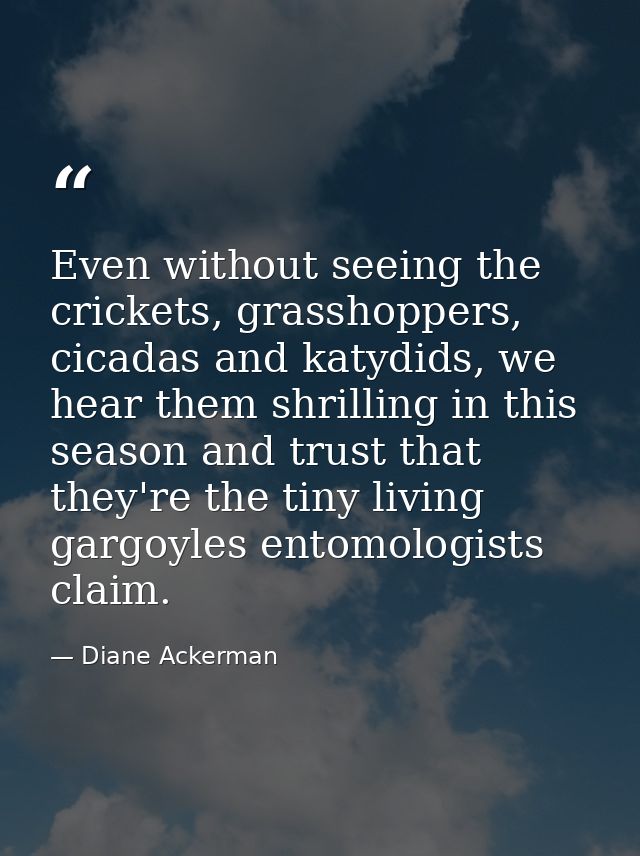 Even without seeing the crickets, grasshoppers, cicadas and katydids, we hear them shrilling in this season and trust th — Diane Ackerman