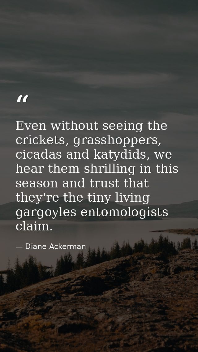 Even without seeing the crickets, grasshoppers, cicadas and katydids, we hear them shrilling in this season and trust th — Diane Ackerman