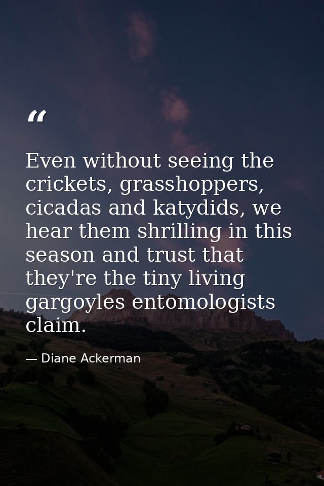 Even without seeing the crickets, grasshoppers, cicadas and katydids, we hear them shrilling in this season and trust th — Diane Ackerman