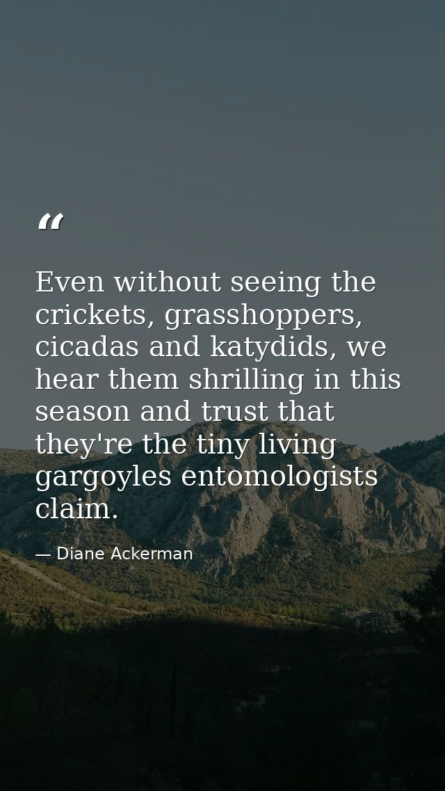 Even without seeing the crickets, grasshoppers, cicadas and katydids, we hear them shrilling in this season and trust th — Diane Ackerman